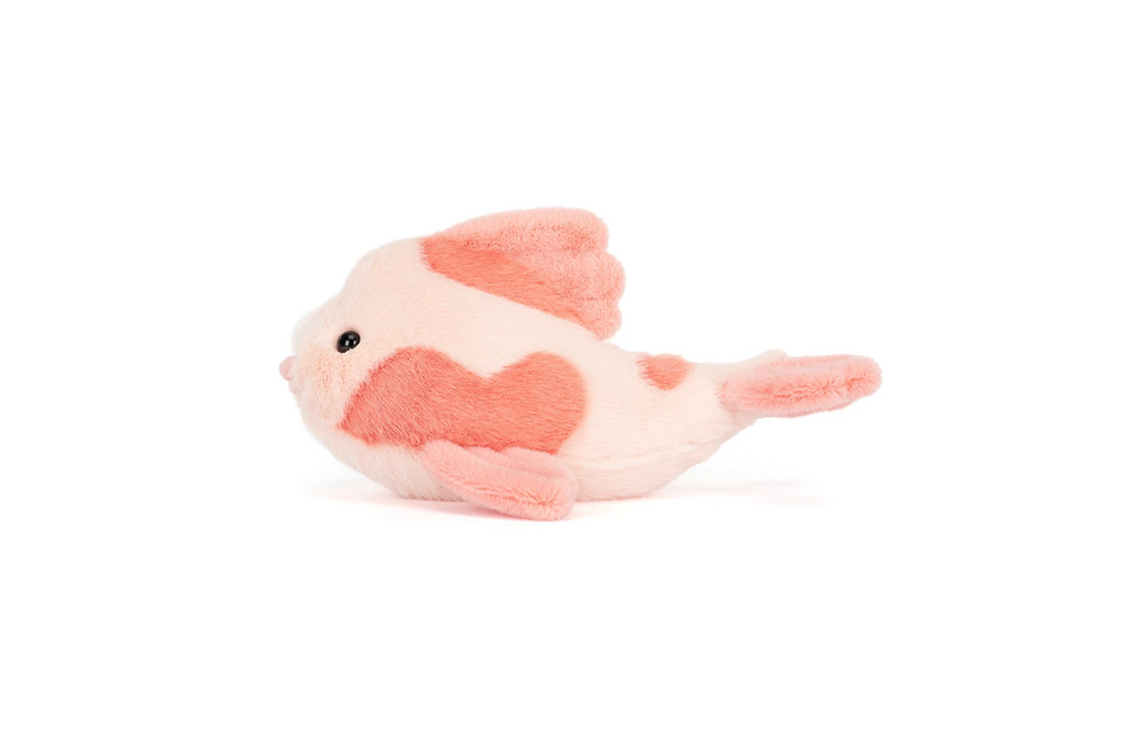 Fancy Carp
