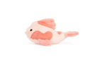 Fancy Carp