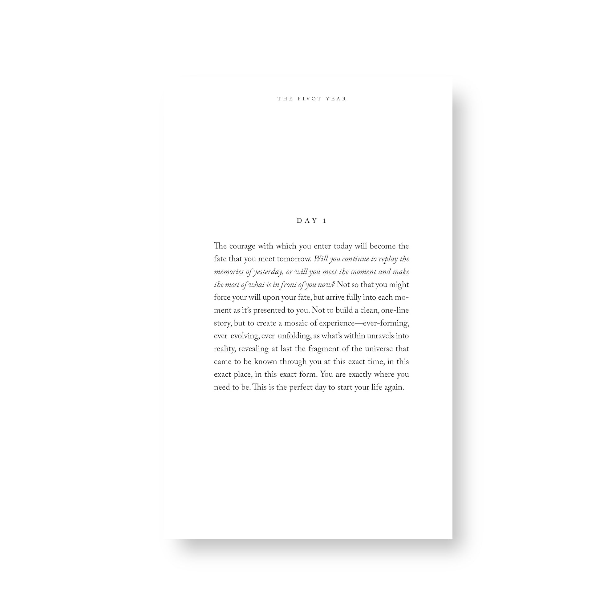 The Pivot Year - Book