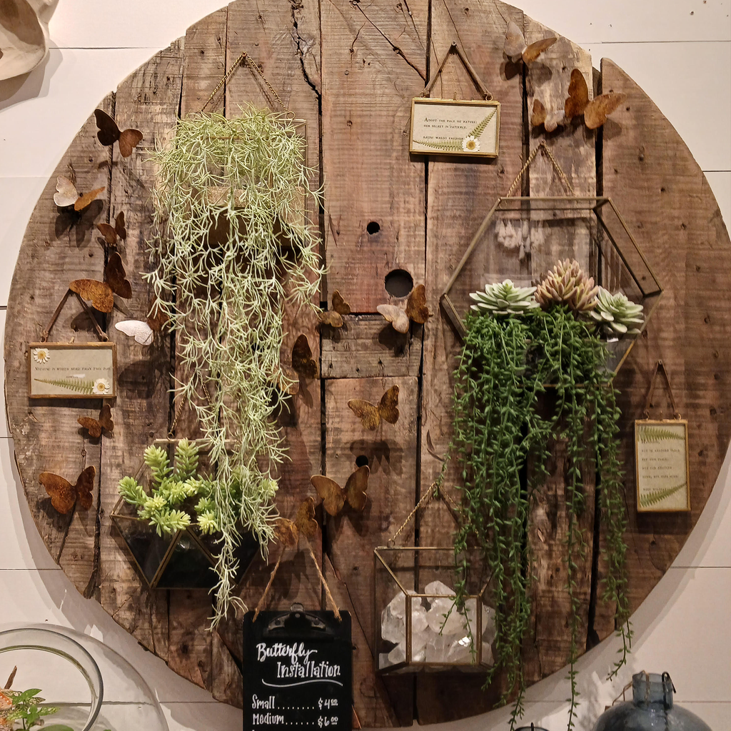 Hanging Glass Terrarium