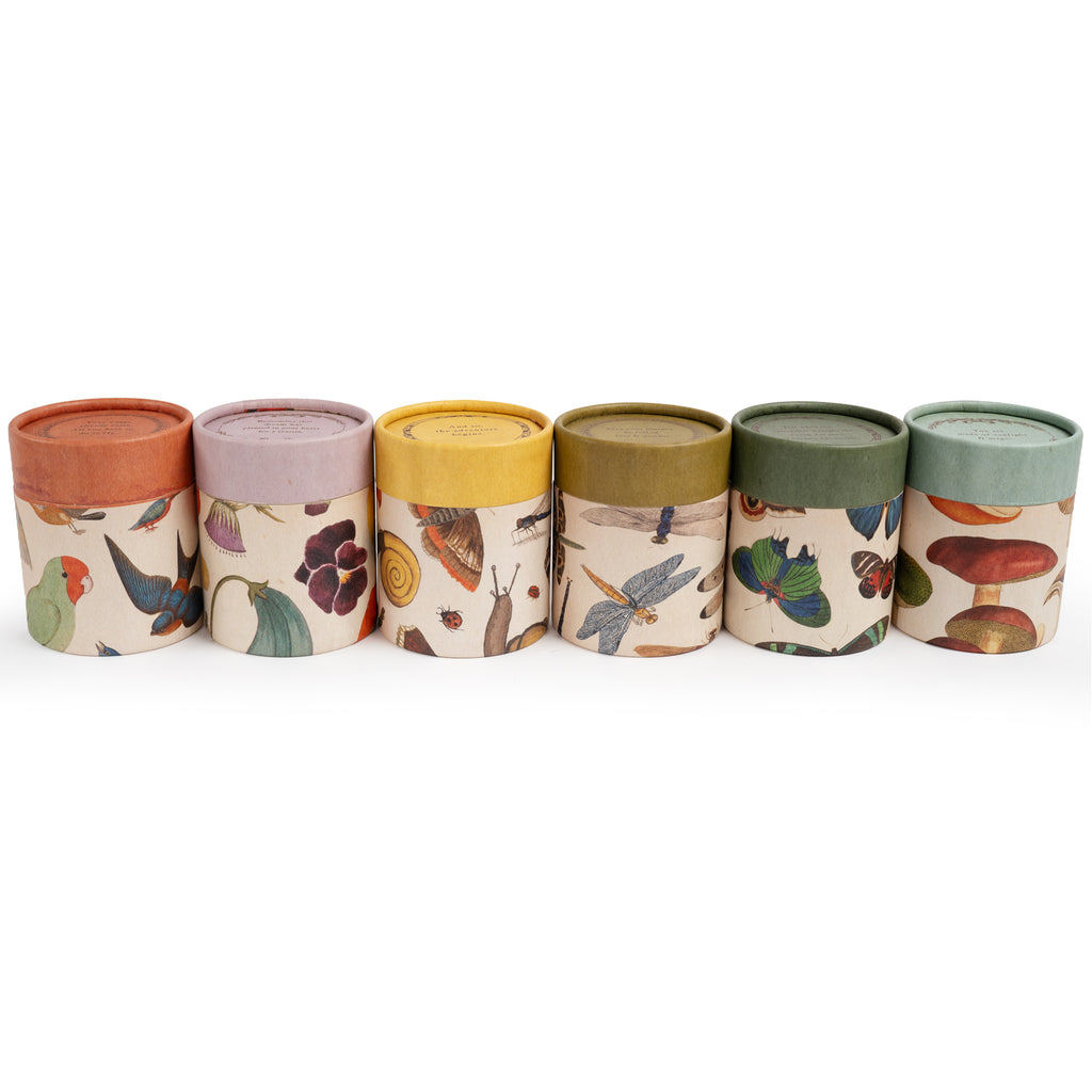 Flora & Fauna Candle Collection