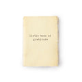 Little Book Of Gratitude Mini Deckled Edge Notebook