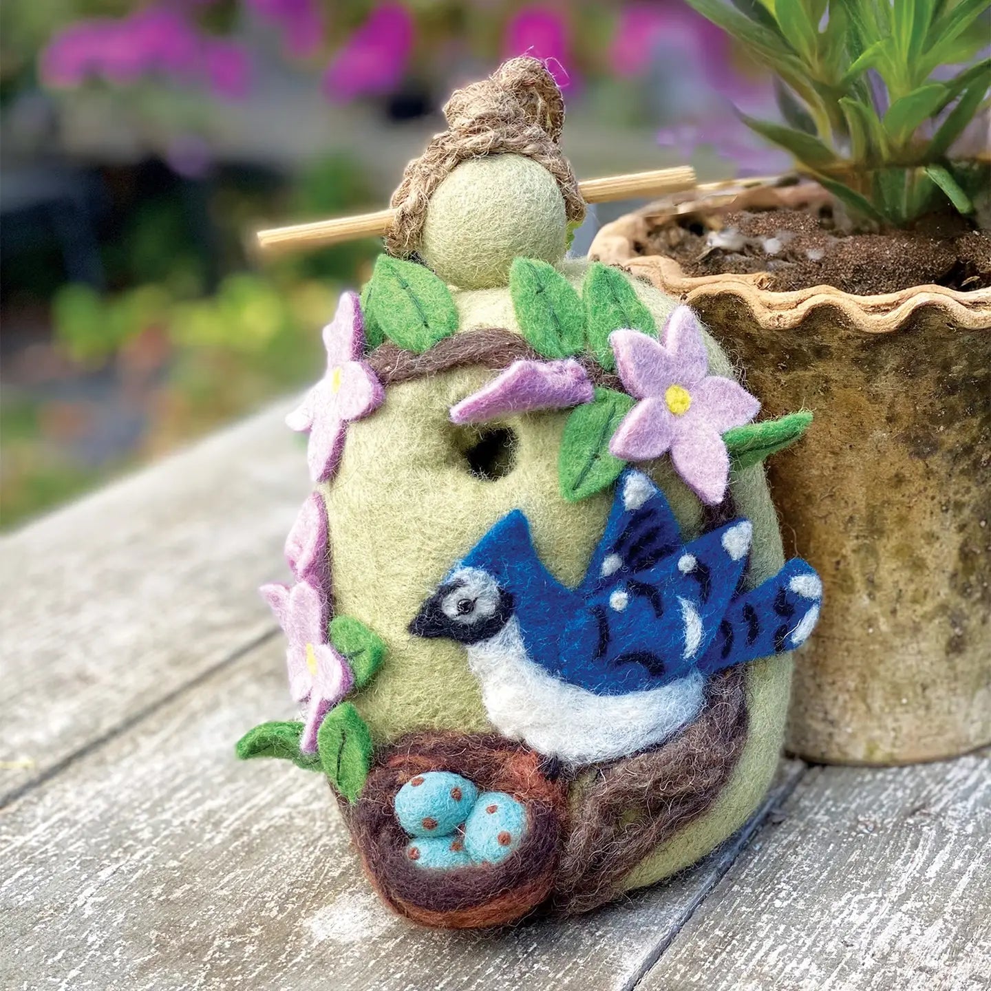 Birdhouse, Nesting Bluejay