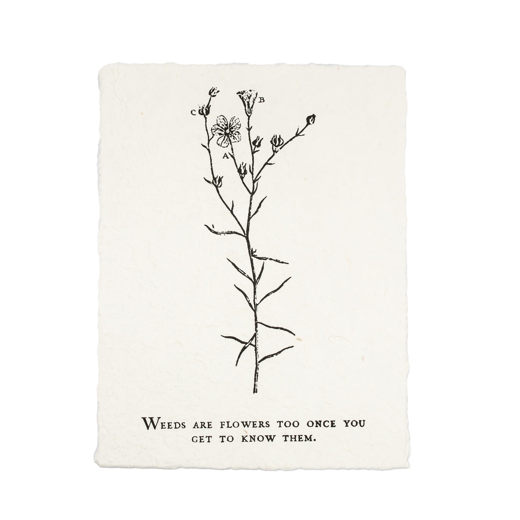 Botanical Handmade Paper Print