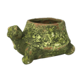 Mossy Terra Cotta Turtle Planter