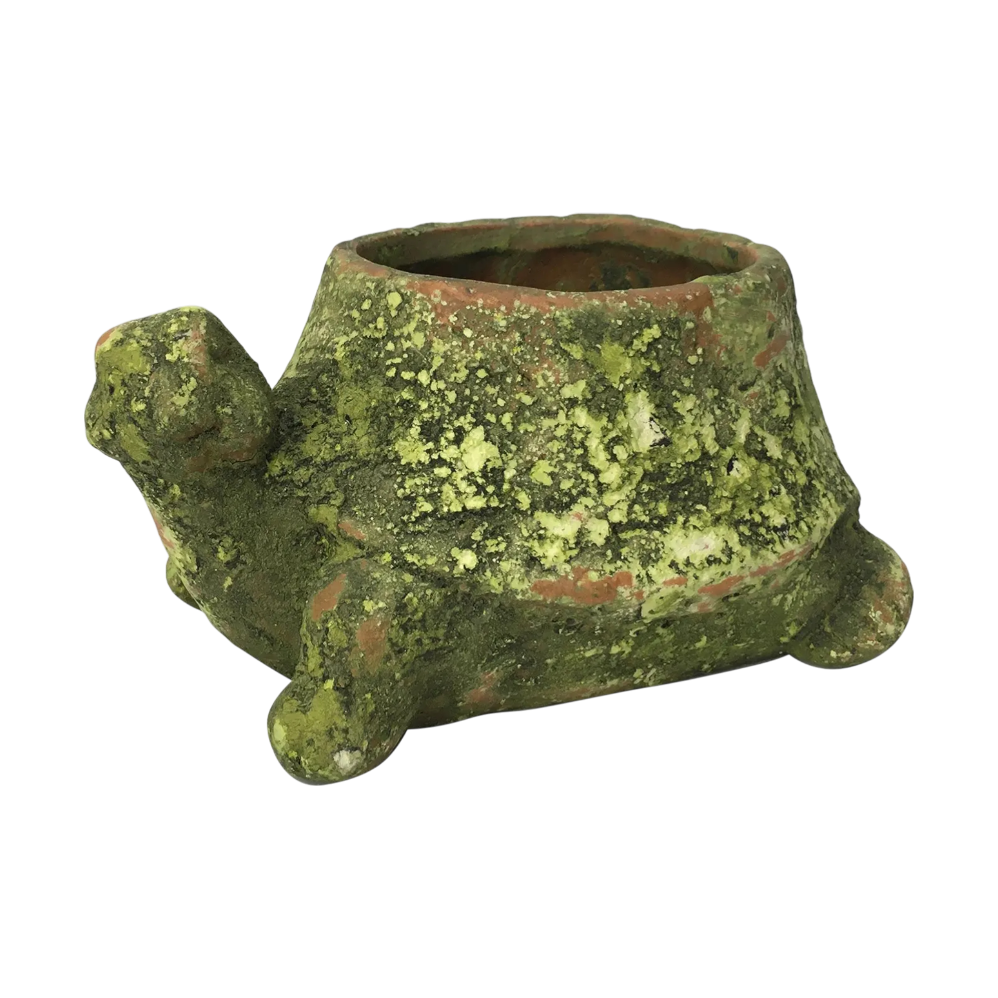 Mossy Terra Cotta Turtle Planter