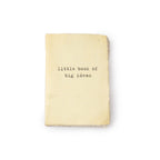 ***Little Book Of Big Ideas Mini Deckled Edge Notebook