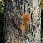 Rustic Carved Heart with Nails 8"x8"