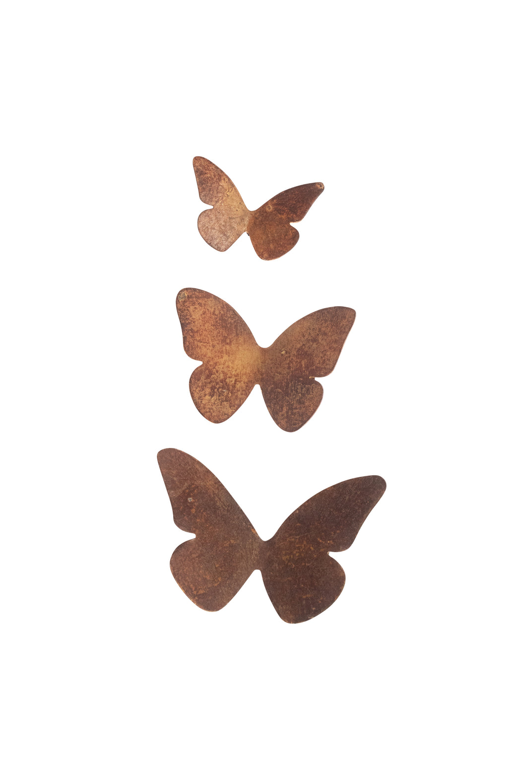Medium Butterfly Installation