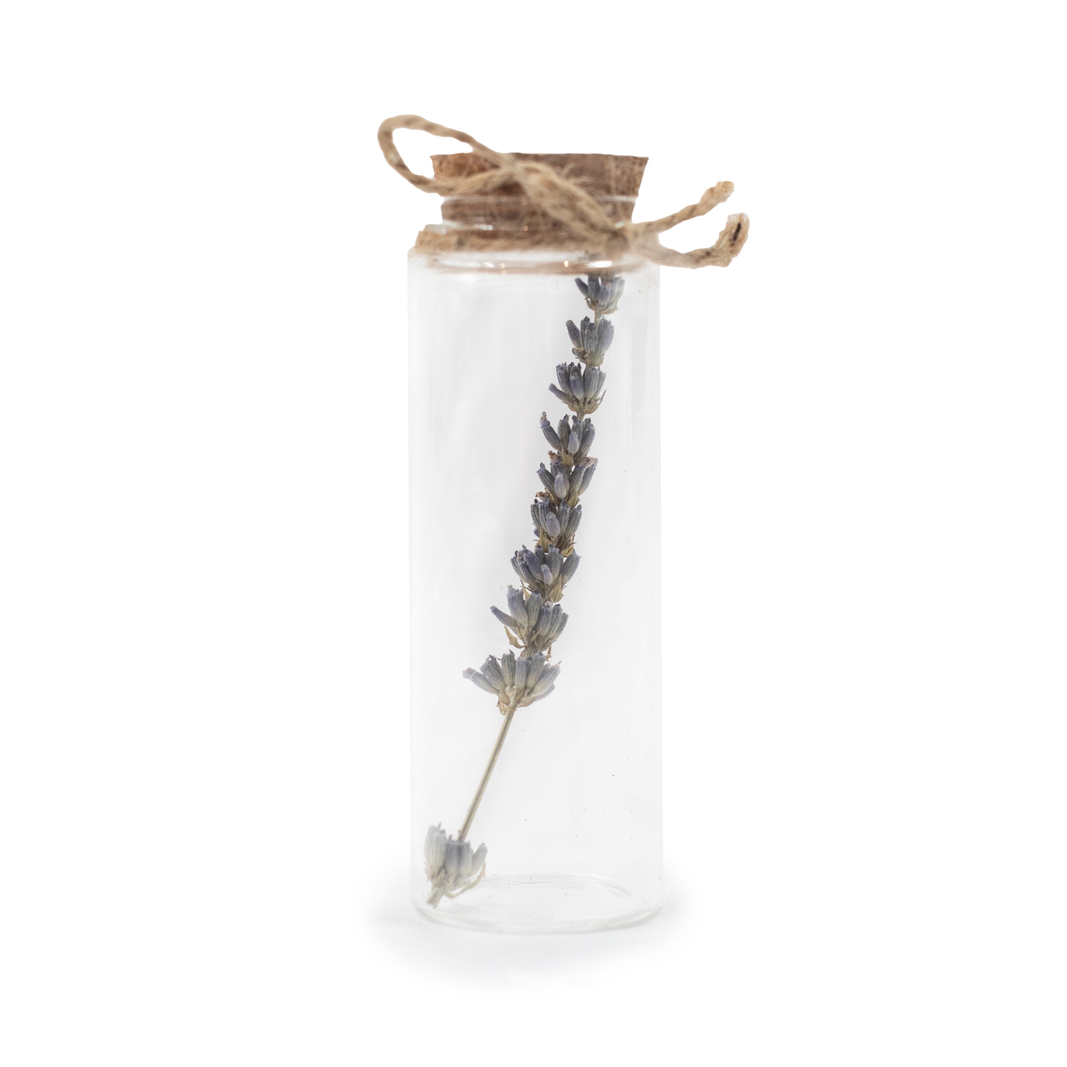 Dried Botanical Bottles with Cork & Twine
