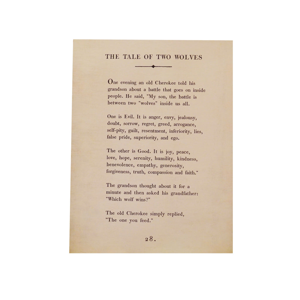 Tale Of Two Wolves Book Collection Art Poster