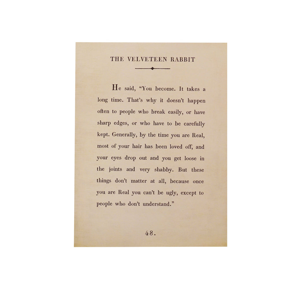 The Velveteen Rabbit Book Collection Art Poster