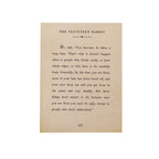 The Velveteen Rabbit Book Collection Art Poster